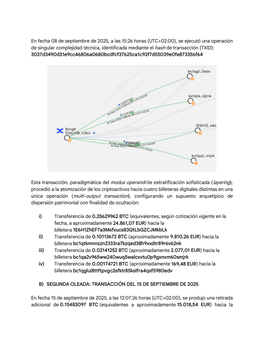 Análisis de trazabilidad de transacciones elaborado por el despacho para un procedimiento real (anonimizado)